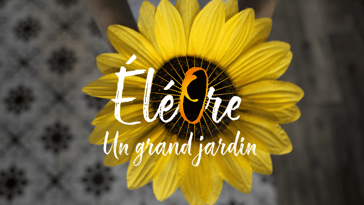 Clip - Un grand jardin - Malzenn Studio
